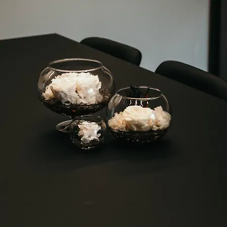 Gio Leo Gasthuis Lesa